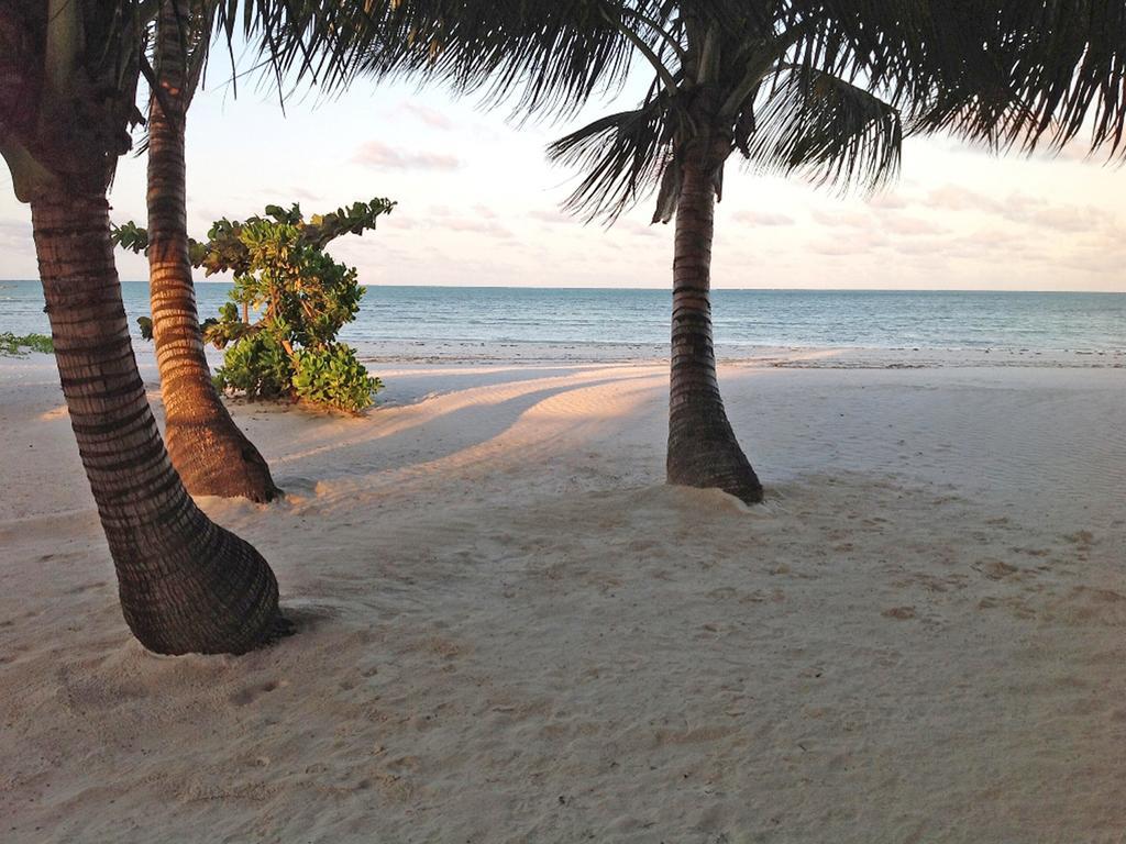 Pongwe Bay Resort Eksteriør bilde