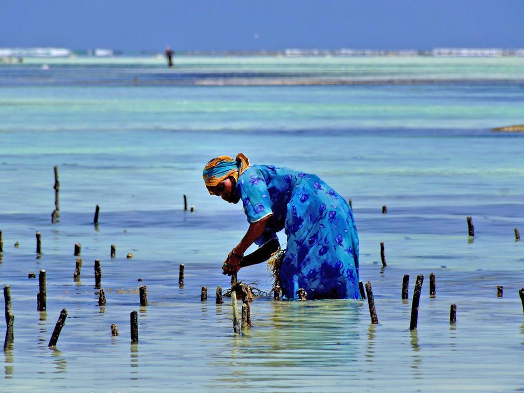 Pongwe Bay Resort Eksteriør bilde