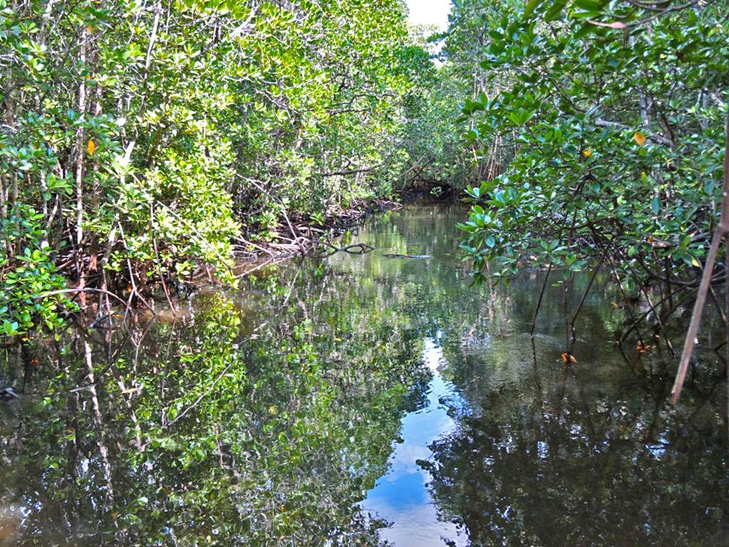 Pongwe Bay Resort Eksteriør bilde
