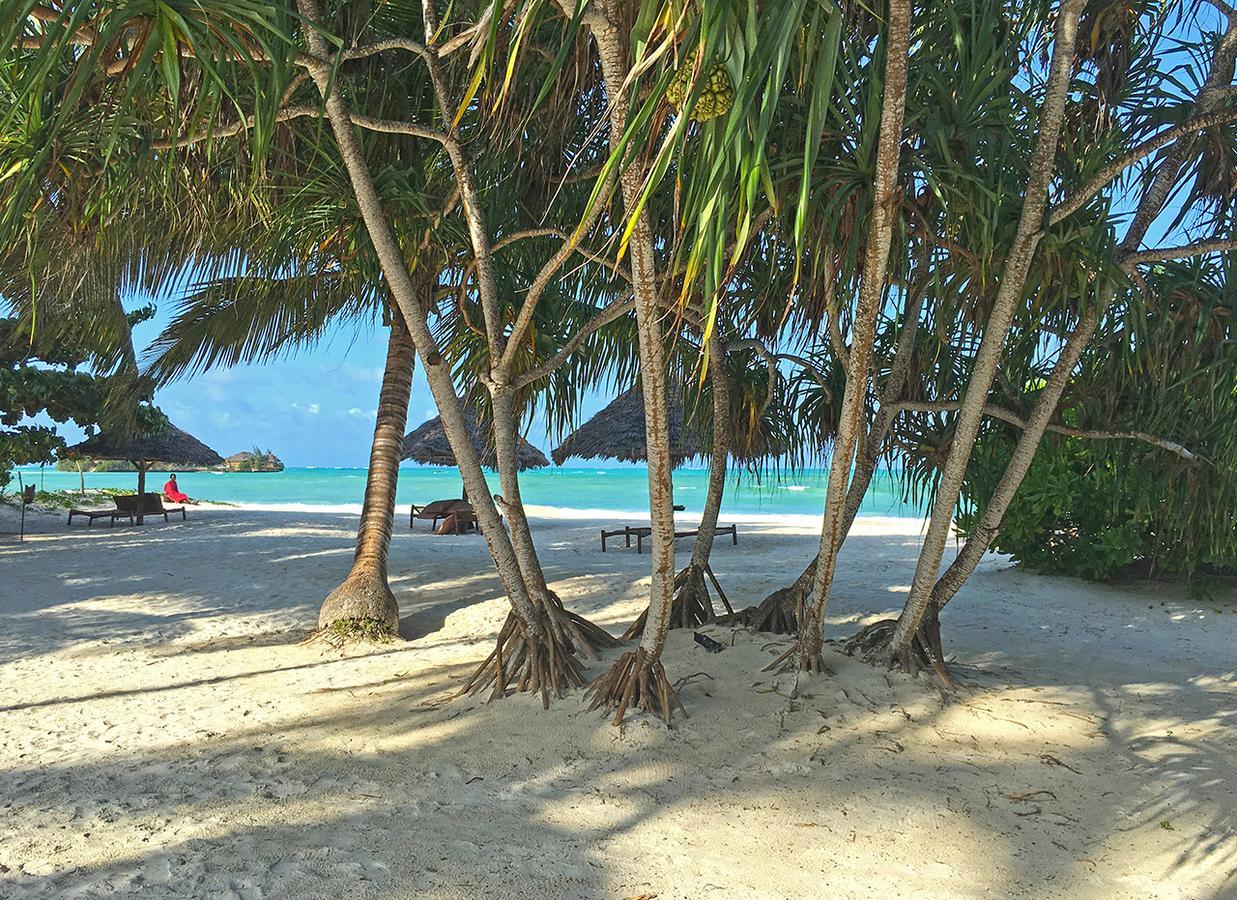 Pongwe Bay Resort Eksteriør bilde